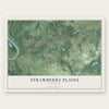Strawberry Plains, Tennessee map print, the full design
