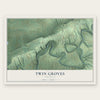 Twin Groves, Arkansas map print, the full design