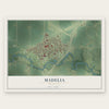 Madelia, Minnesota map print, the full design