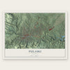 Pulaski, Virginia map print, the full design