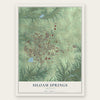 Siloam Springs, Arkansas map print, the full design