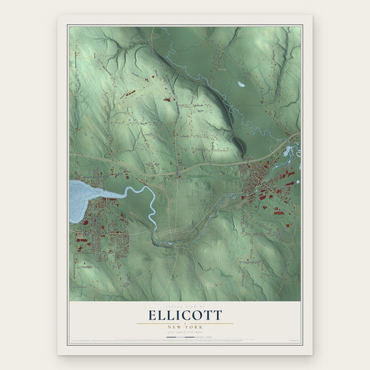 Ellicott, New York map print, the full design