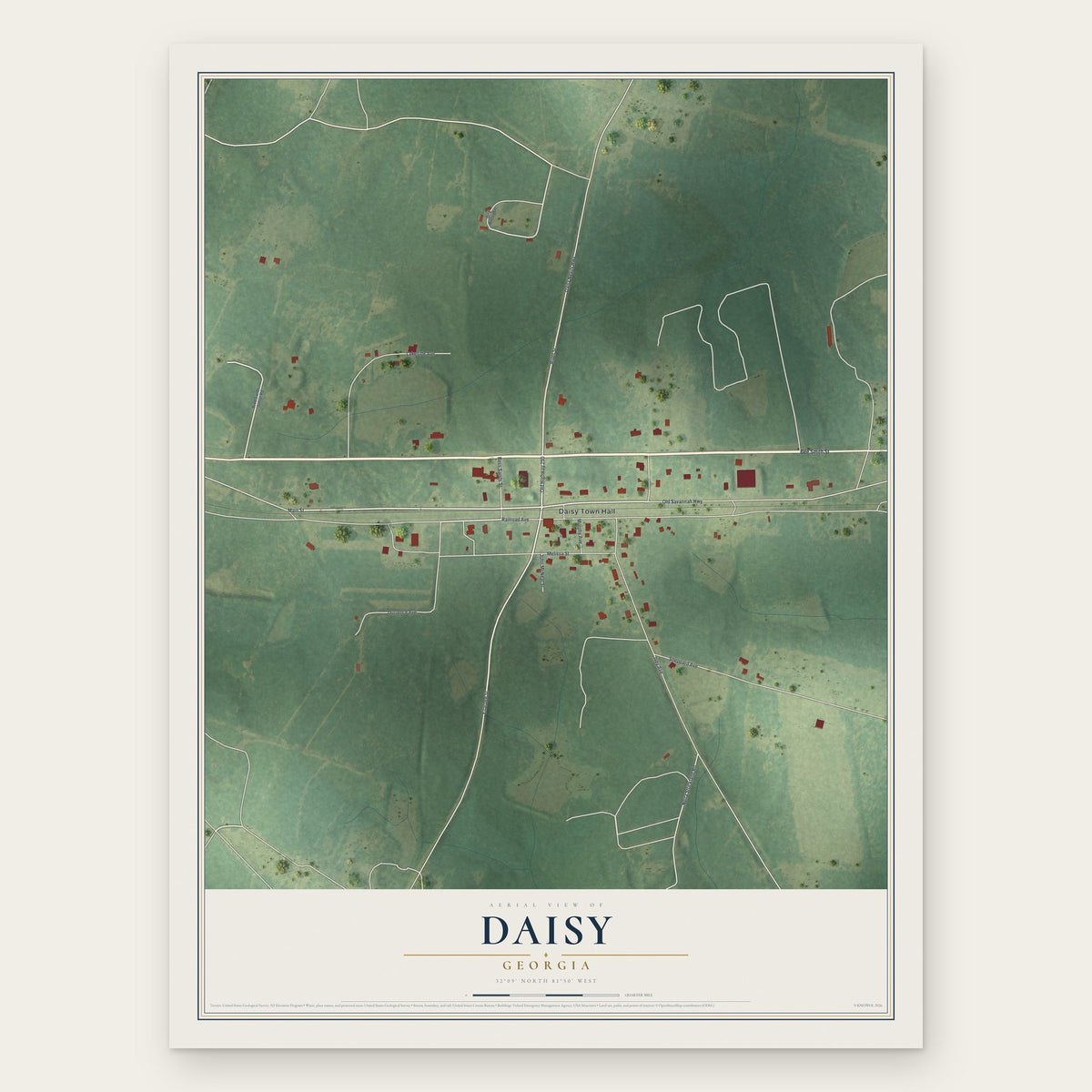 Daisy, Georgia map print, the full design