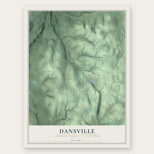 Dansville, Steuben County, New York map print, the full design