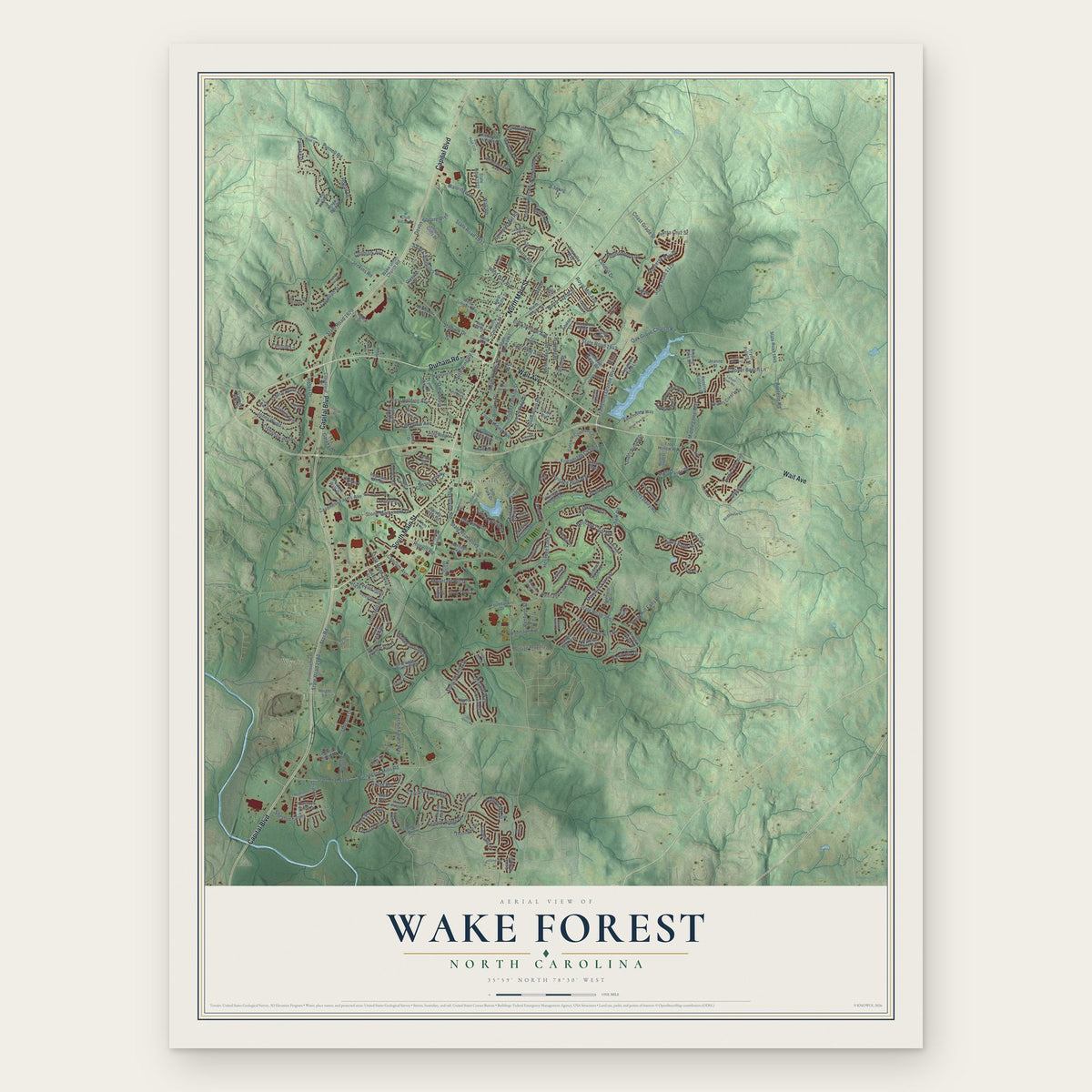 Wake Forest, North Carolina map print, the full design