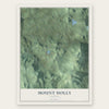Mount Holly, Vermont map print, the full design