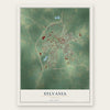 Sylvania, Georgia map print, the full design