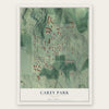 Carey Park, Georgia map print, the full design