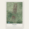 Pharr, Texas map print, the full design