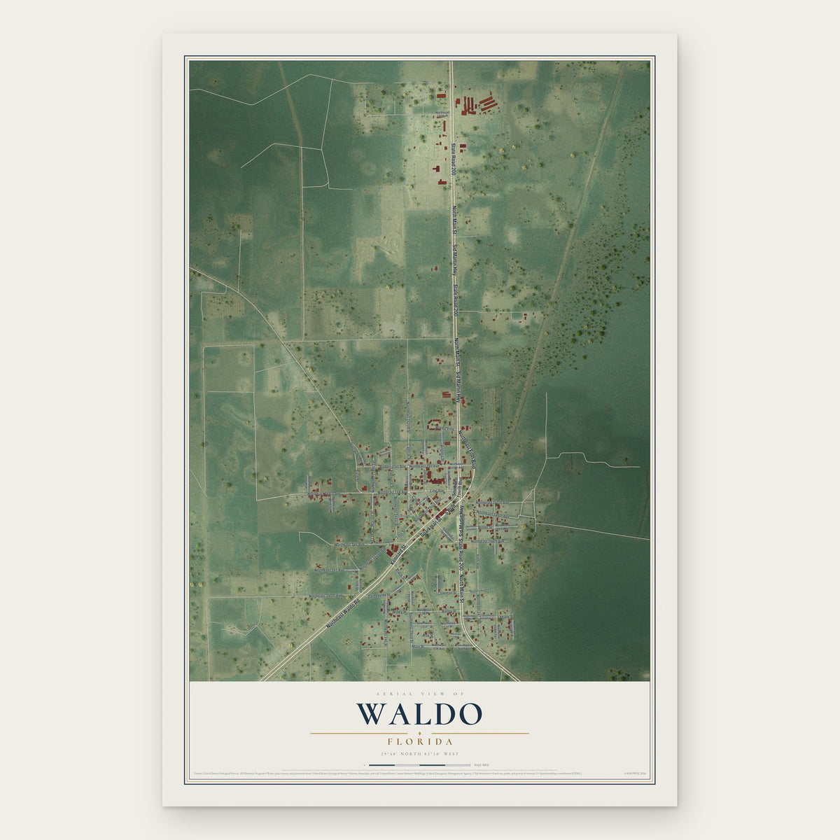 Waldo, Florida map print, the full design