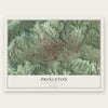 Princeton, West Virginia map print, the full design