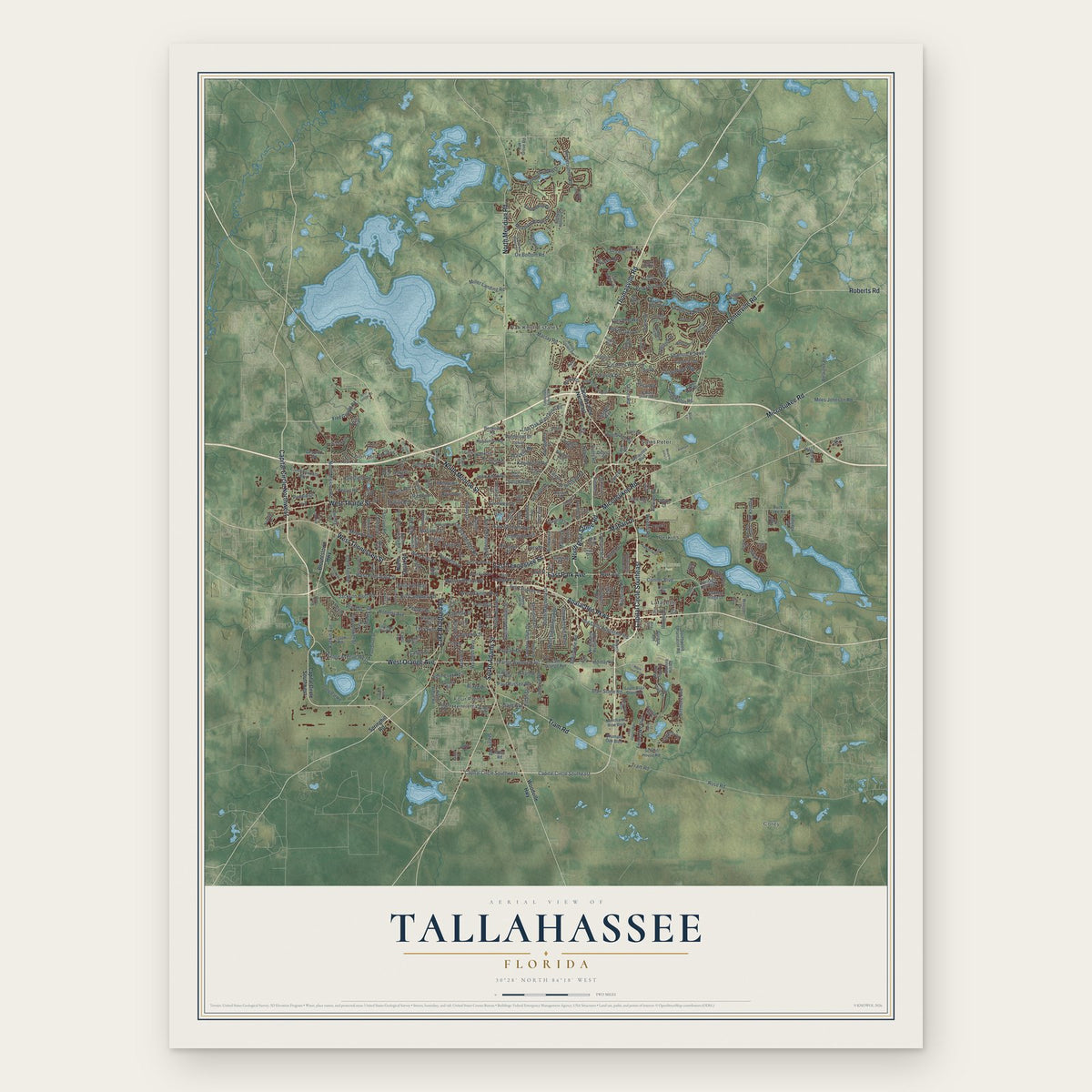 Tallahassee, Florida map print, the full design