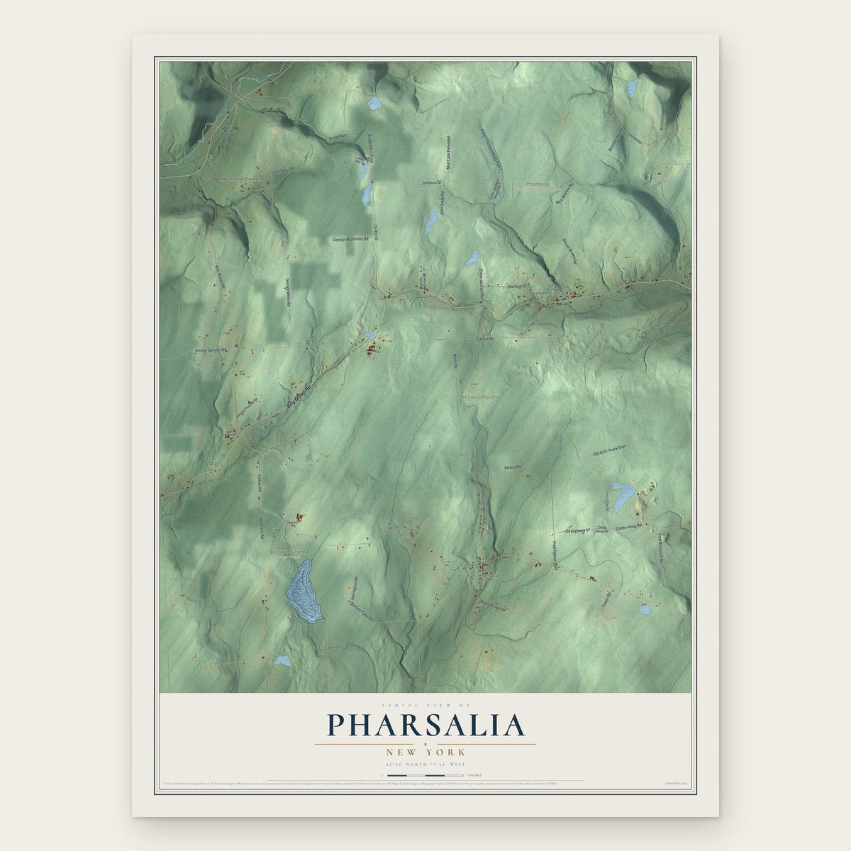 Pharsalia, New York map print, the full design