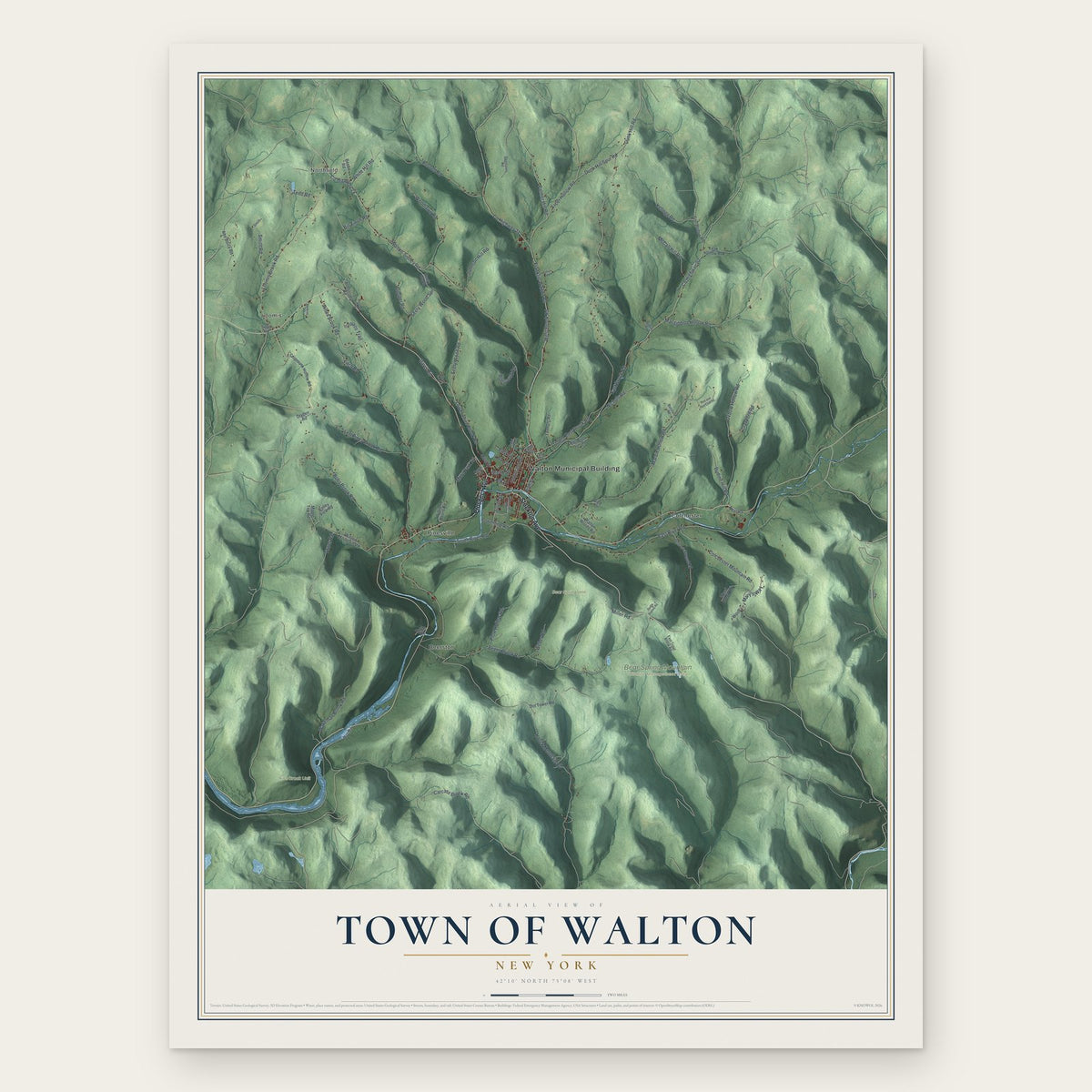 Town of Walton, New York map print, the full design