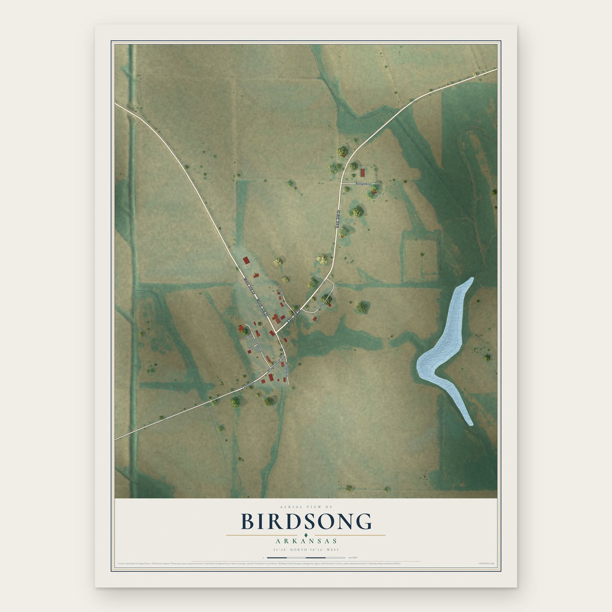 Birdsong, Arkansas map print, the full design