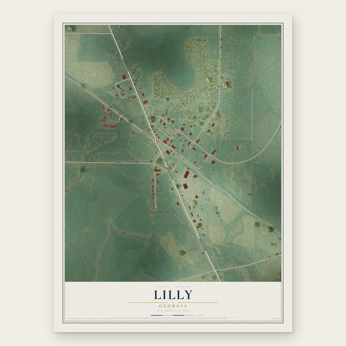 Lilly, Georgia map print, the full design