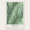 Edmeston, New York map print, the full design