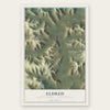 Eldred, McKean County, Pennsylvania map print, the full design