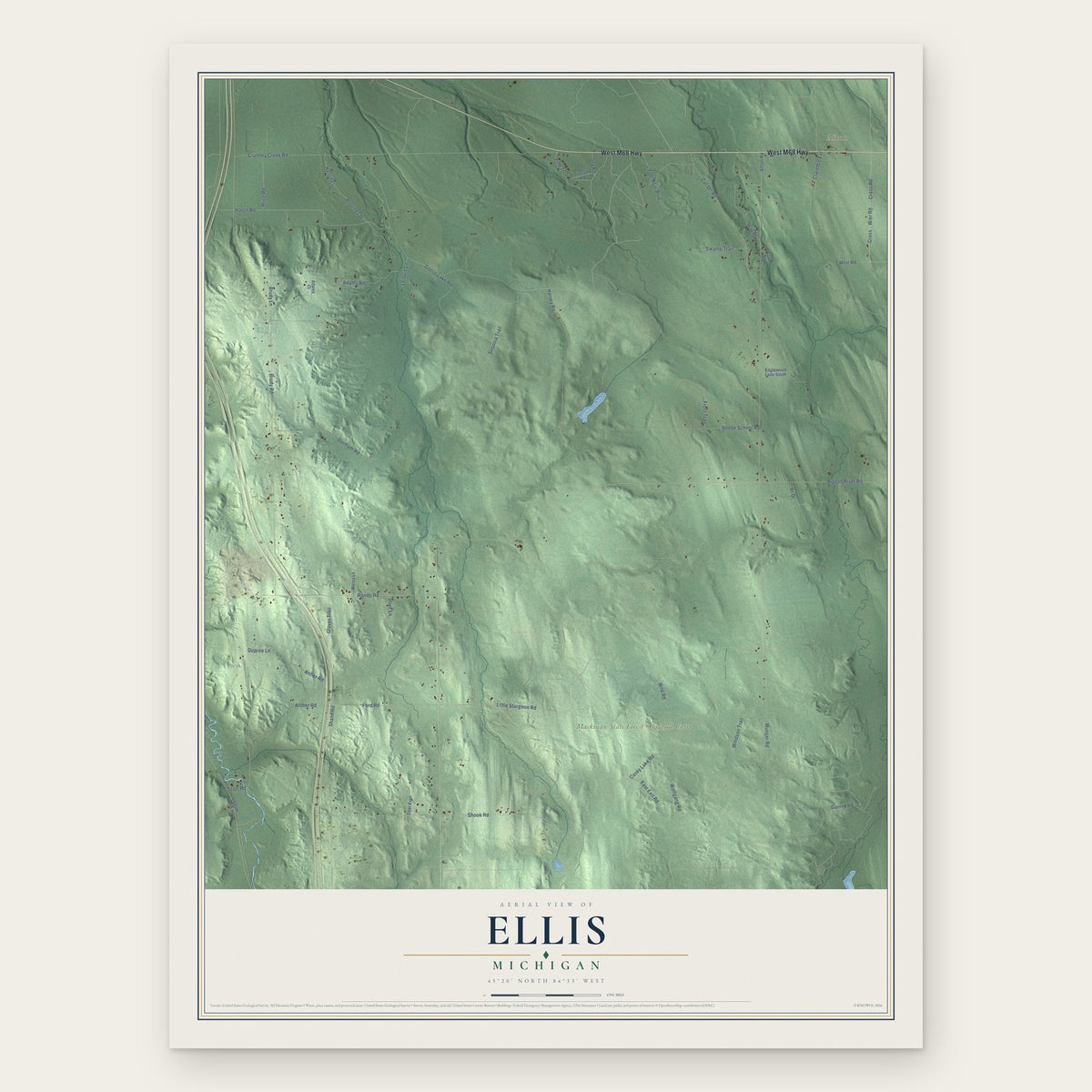 Ellis, Michigan map print, the full design