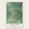 Natural Bridge, Alabama map print, the full design