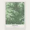 Sheldon, Monroe County, Wisconsin map print, the full design