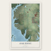 Oak Point, Texas map print, the full design