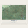 Mulberry, Arkansas map print, the full design