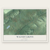 Walnut Grove, Alabama map print, the full design