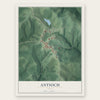 Antioch, Ohio map print, the full design