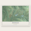 Irondale, Missouri map print, the full design