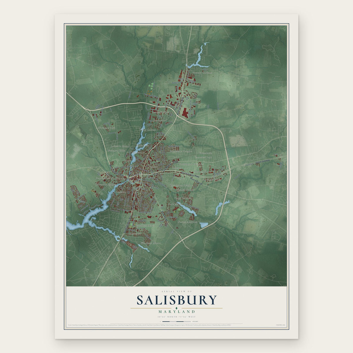 Salisbury, Maryland map print, the full design