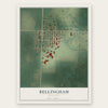 Bellingham, Minnesota map print, the full design