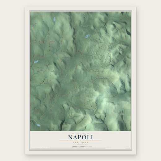 Napoli, New York map print, the full design