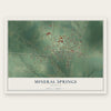 Mineral Springs, Arkansas map print, the full design