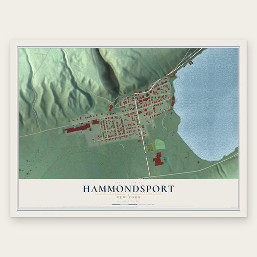 Hammondsport, New York map print, the full design