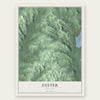 Exeter, New York map print, the full design