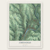 Chenango, New York map print, the full design