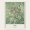 Nixa, Missouri map print, the full design