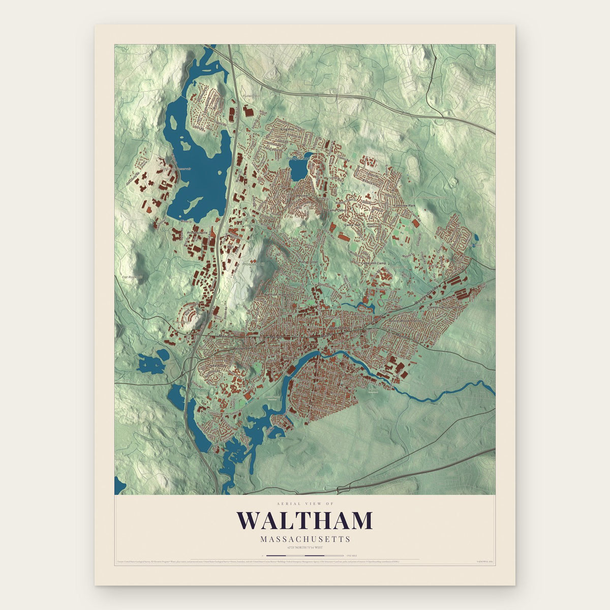 Waltham, Massachusetts map print, the full design