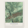 Coatesville, Pennsylvania map print, the full design