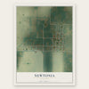 Newtonia, Missouri map print, the full design