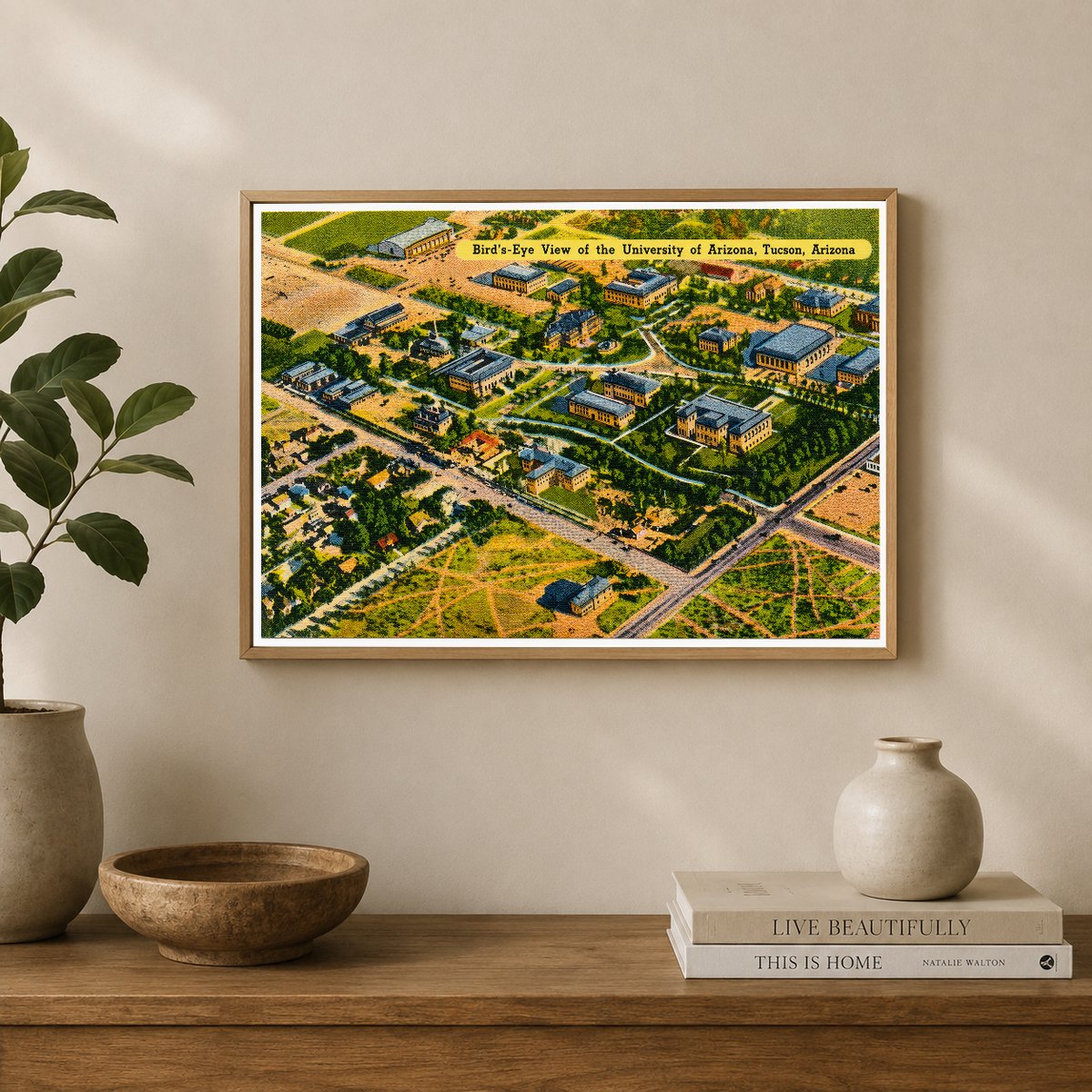 Tucson, AZ: Bird's-eye view of the University of Arizona