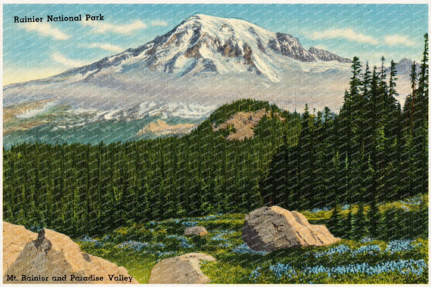 Mount Rainier National Park, WA: Rainier National Park, Mt. Rainier and Paradise Valley