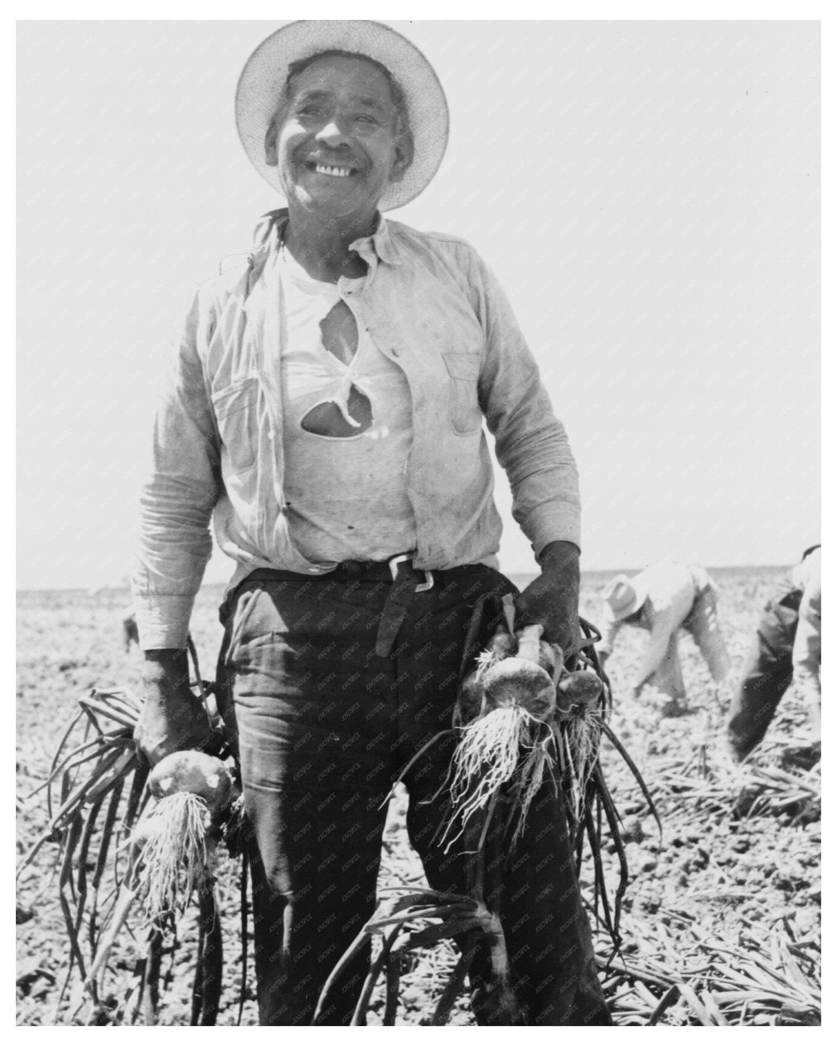 1935 Vintage Photo of Mexican Onion - Picker in California - Available at KNOWOL