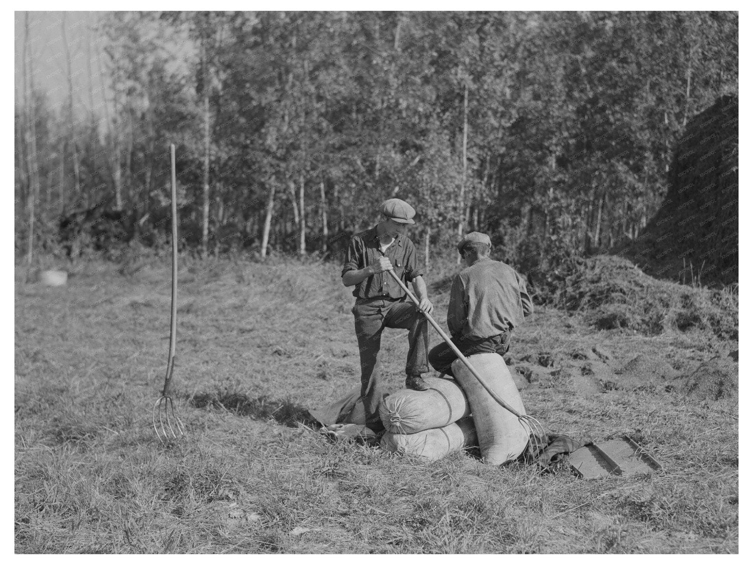1937 Agricultural Workers Resting in Littlefork Minnesota - Available at KNOWOL