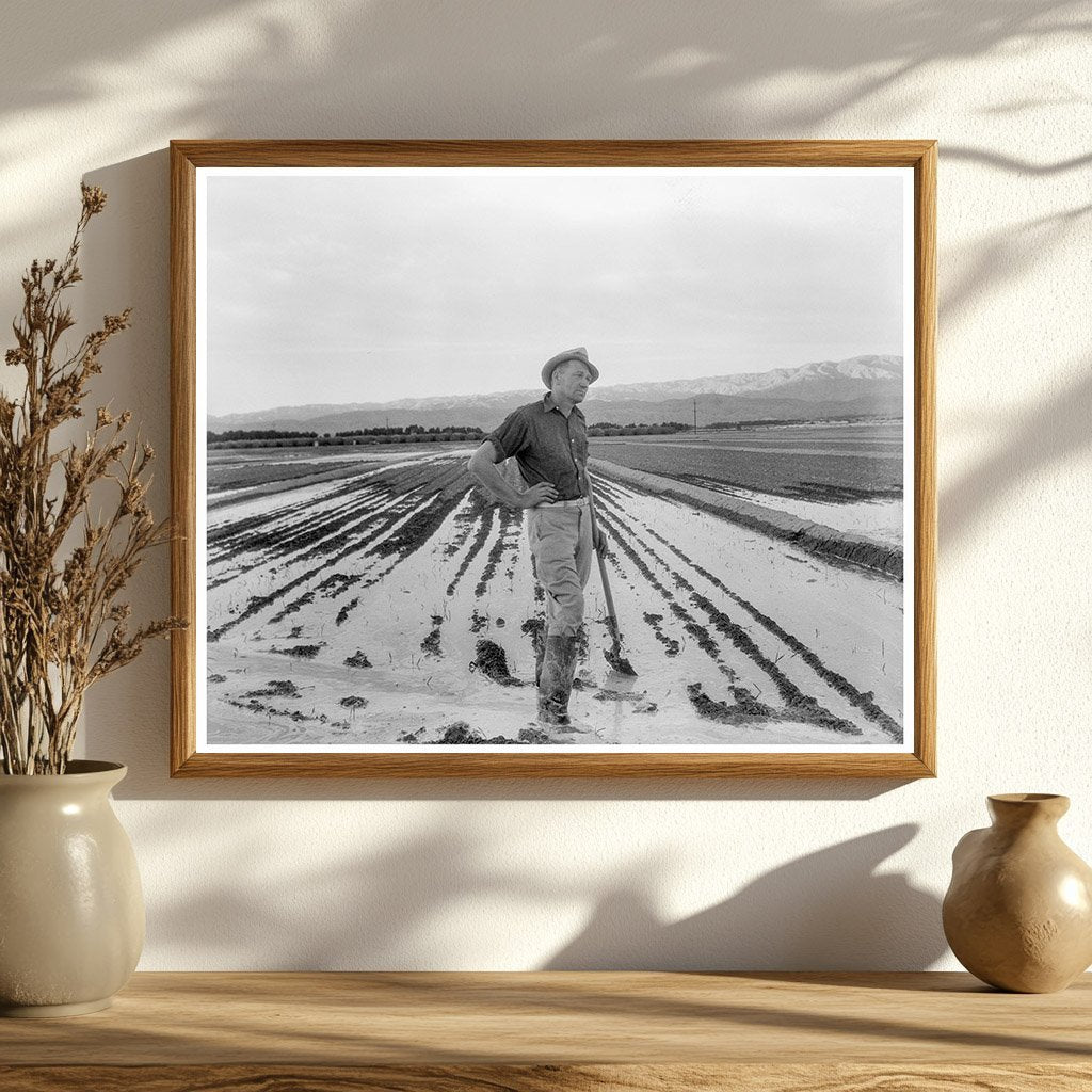 1937 Vintage Image of Irrigation in California Agriculture - Available at KNOWOL
