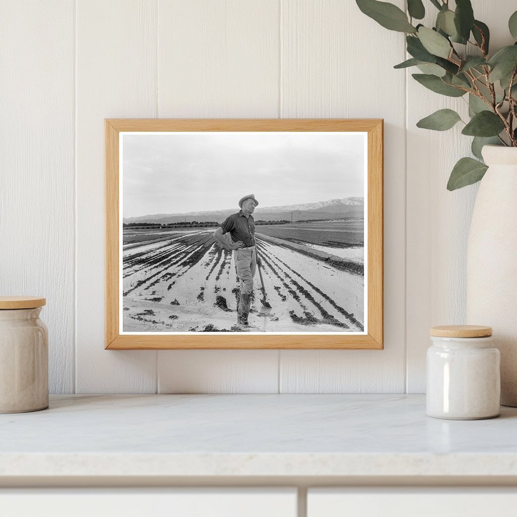 1937 Vintage Image of Irrigation in California Agriculture - Available at KNOWOL