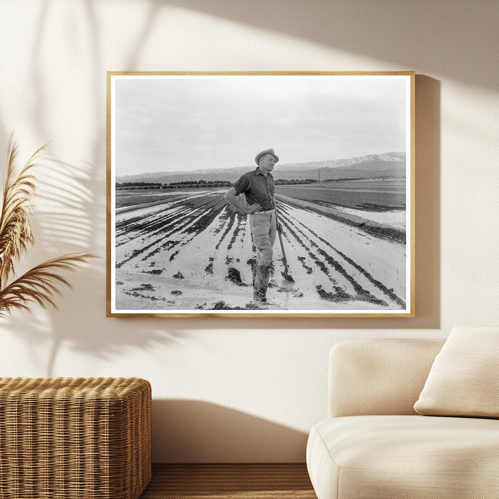 1937 Vintage Image of Irrigation in California Agriculture - Available at KNOWOL