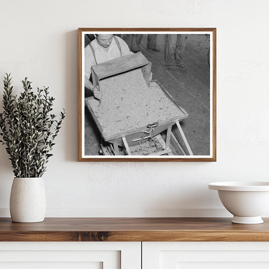 1937 Vintage Image of Pea Processing in Wisconsin Factory - Available at KNOWOL