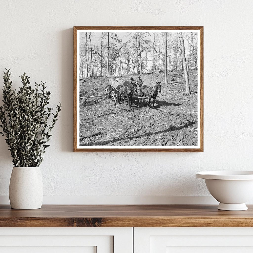 1937 Vintage Logging Transport to Sawmill in Illinois - Available at KNOWOL